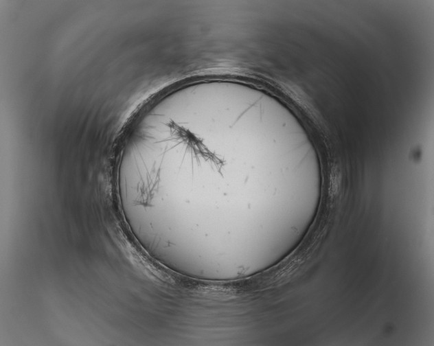 X0000115681356200912031410