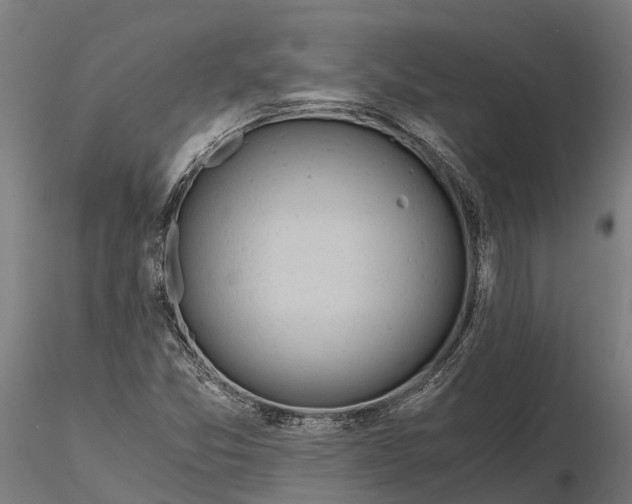 X0000115681357200912031410