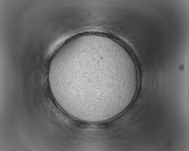 X0000115681359200912031410