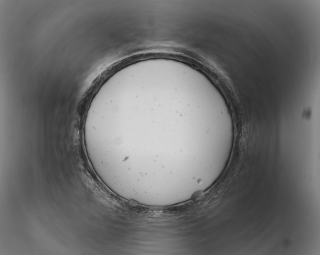 X0000115681360200912031410