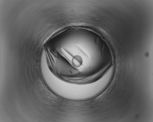 X0000115681361200912031410