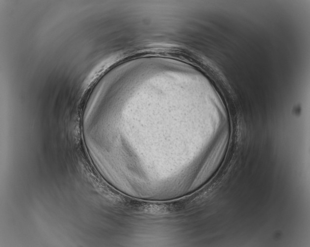 X0000115681362200912031410