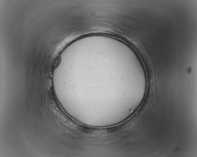 X0000115681363200912031410