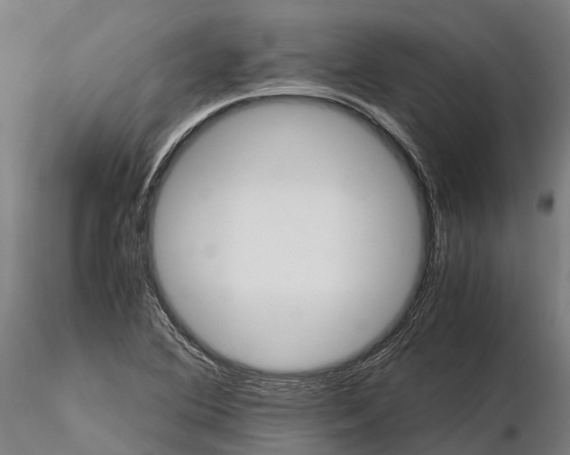 X0000115681364200912031410