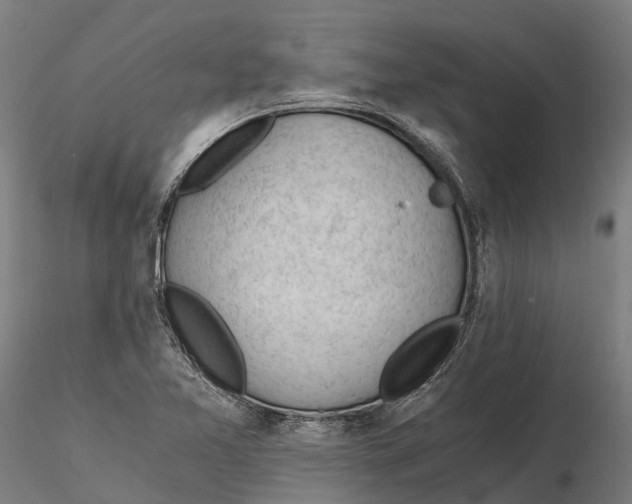 X0000115681365200912031410