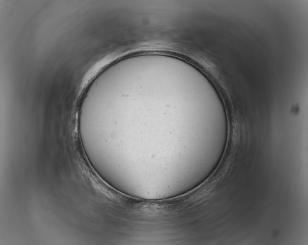 X0000115681366200912031410