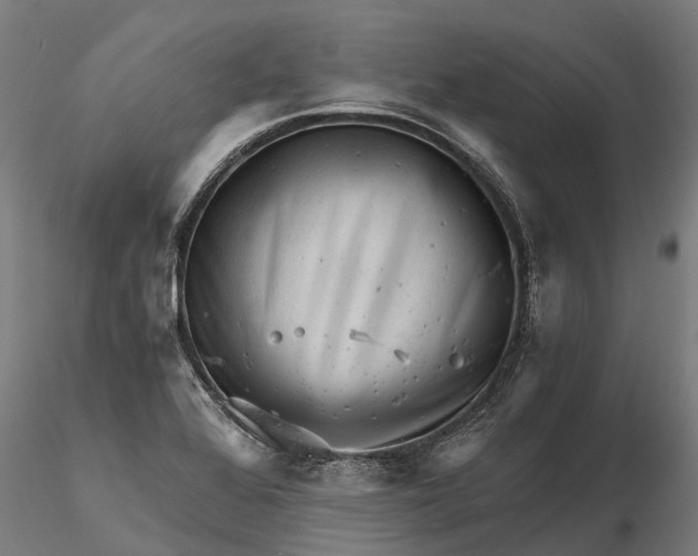 X0000115681368200912031410