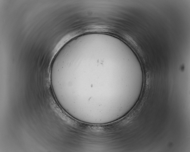 X0000115681370200912031409