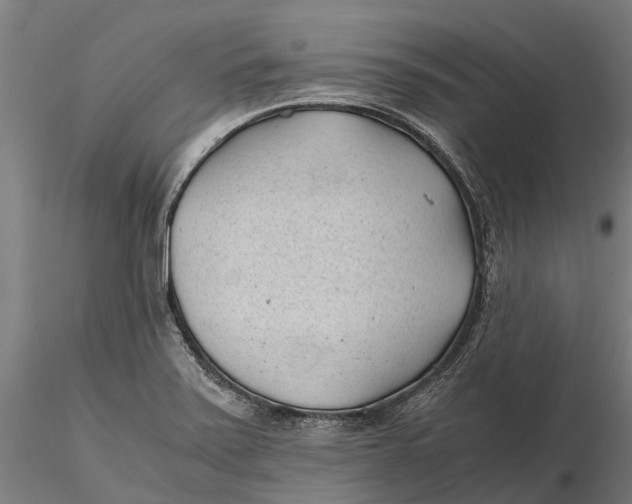 X0000115681371200912031409