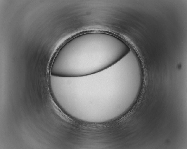 X0000115681372200912031409