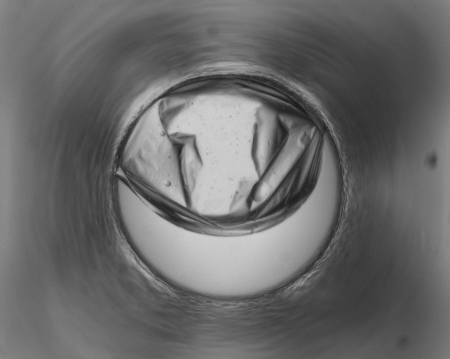 X0000115681373200912031409