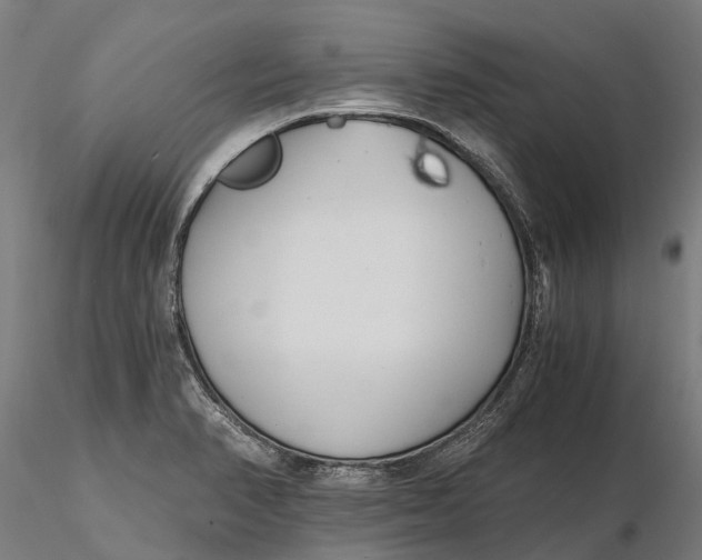 X0000115681374200912031409