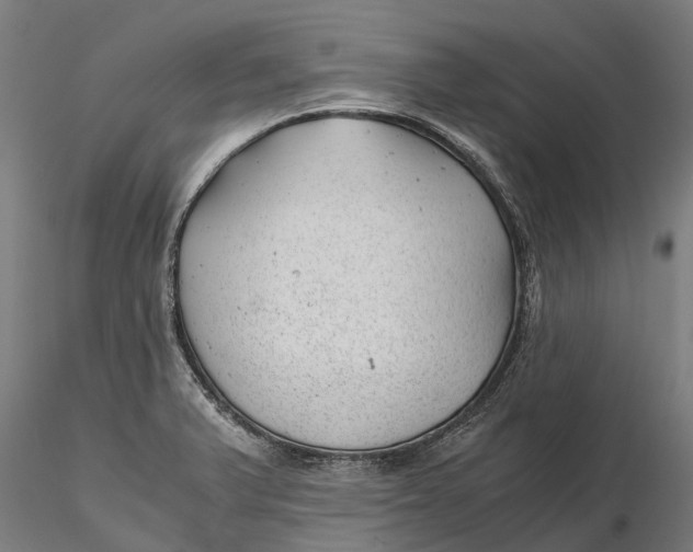 X0000115681375200912031409