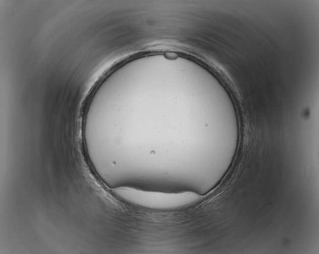 X0000115681376200912031409