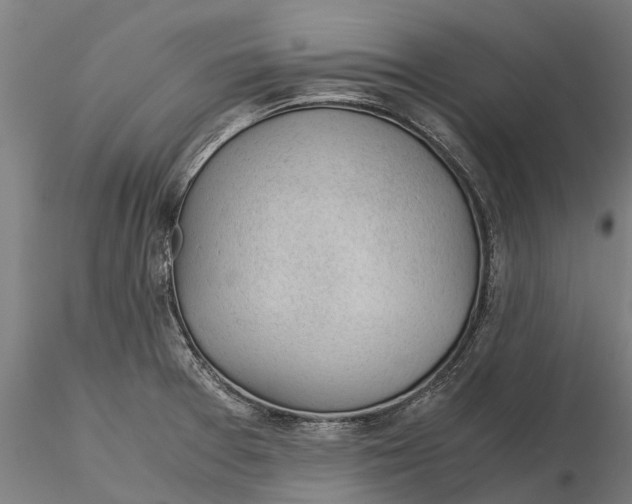 X0000115681377200912031409