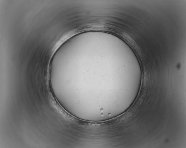 X0000115681378200912031409