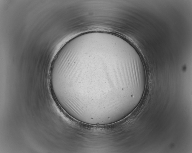 X0000115681379200912031409