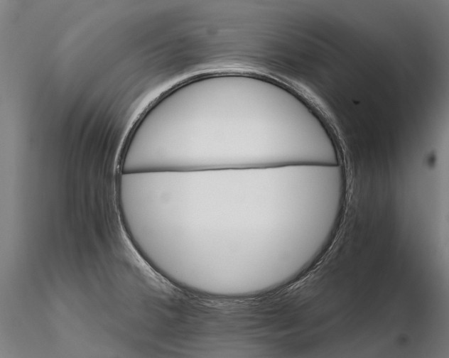 X0000115681380200912031409