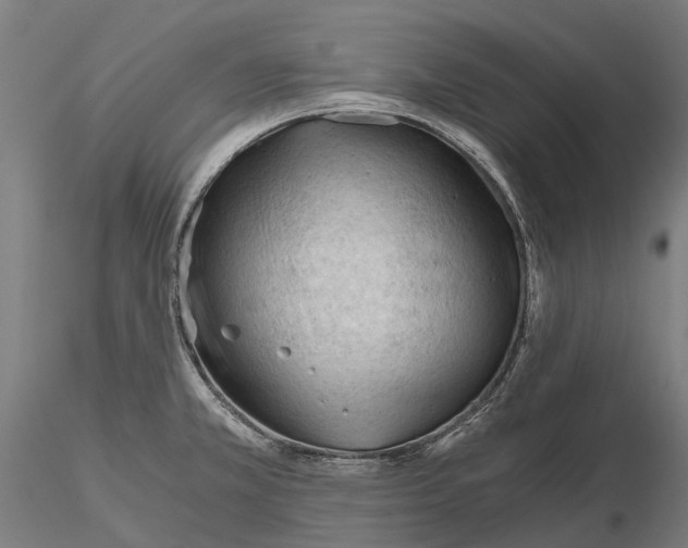 X0000115681381200912031409