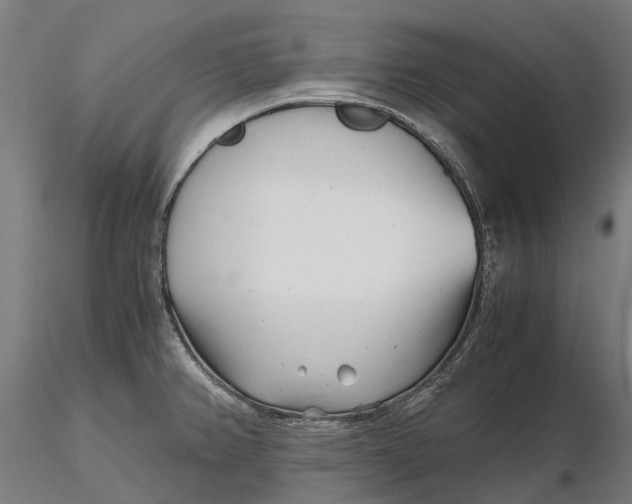 X0000115681382200912031409