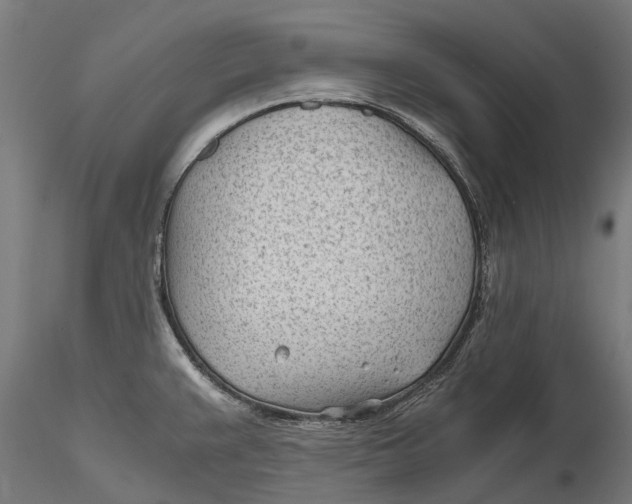 X0000115681383200912031409