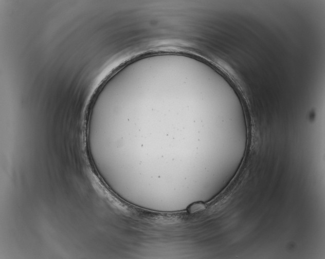 X0000115681384200912031409