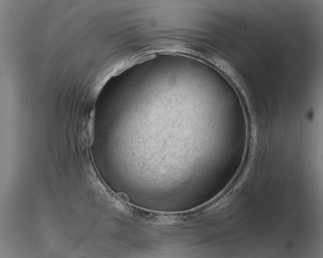 X0000115681385200912031409