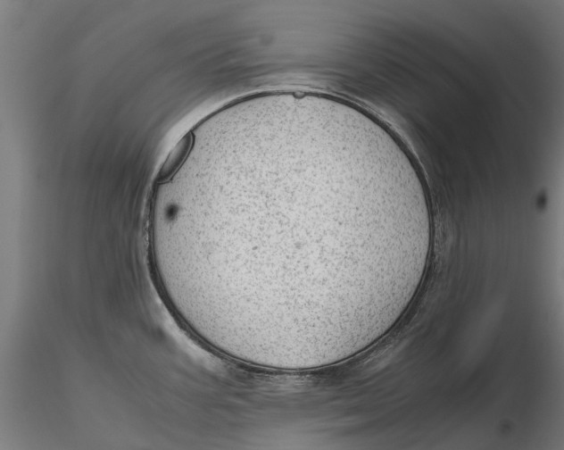 X0000115681387200912031409