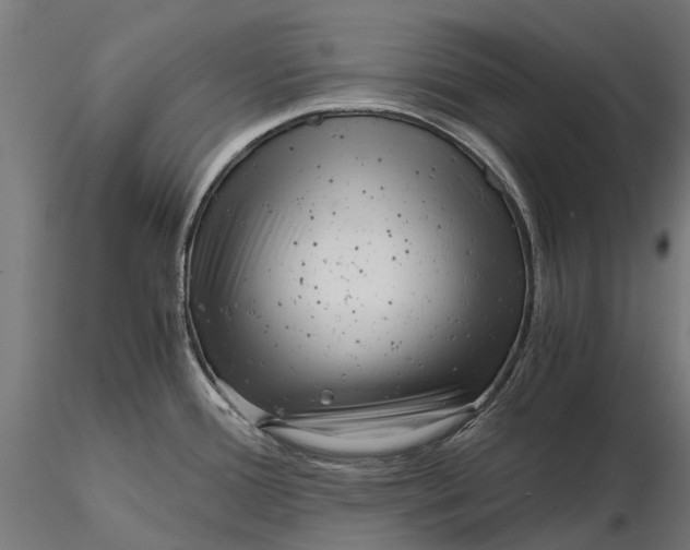 X0000115681388200912031409