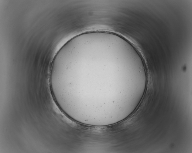 X0000115681390200912031409