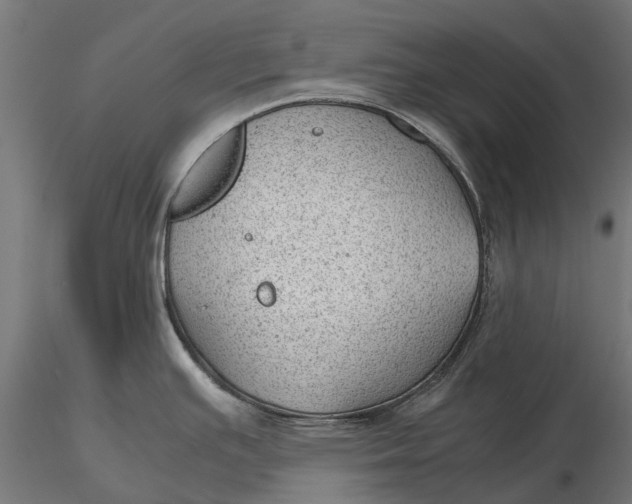 X0000115681391200912031409