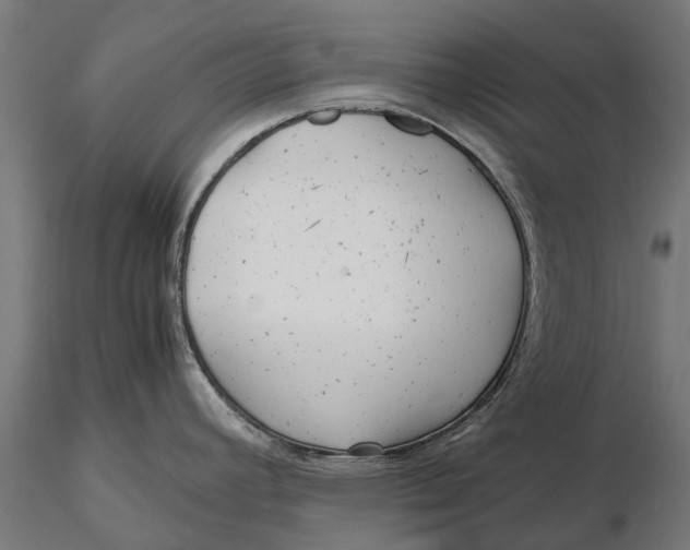 X0000115681392200912031409