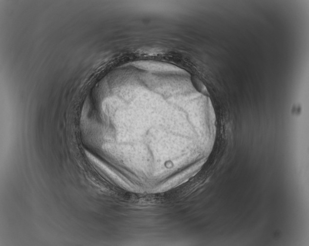 X0000115681393200912031409