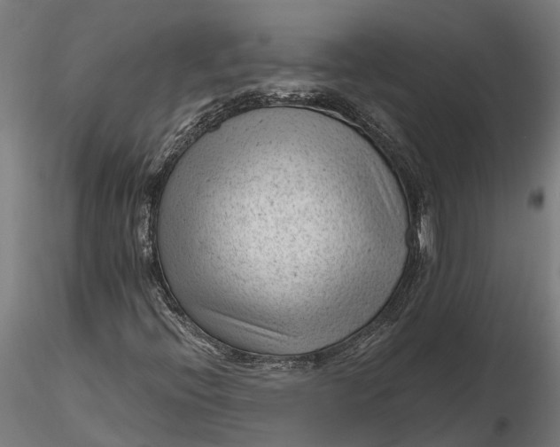 X0000115681396200912031409