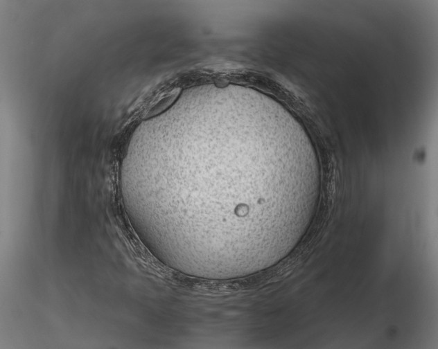 X0000115681397200912031409