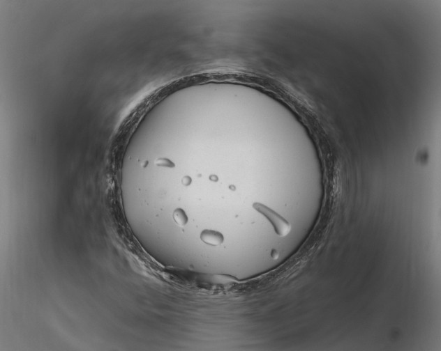 X0000115681400200912031409