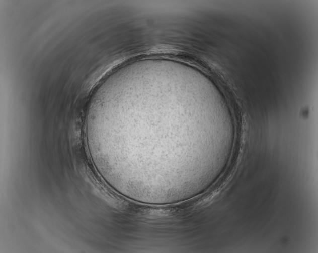 X0000115681401200912031409