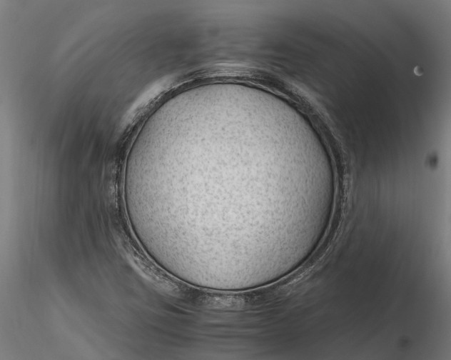 X0000115681403200912031409