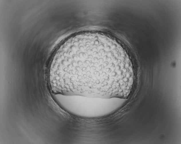 X0000115681404200912031409