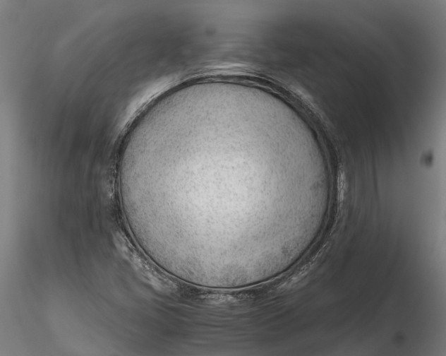 X0000115681405200912031409