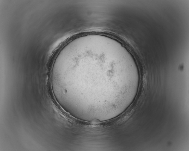 X0000115681406200912031409