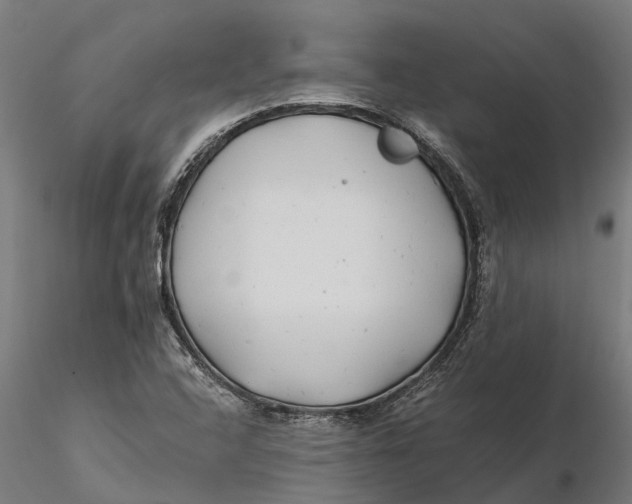 X0000115681408200912031409