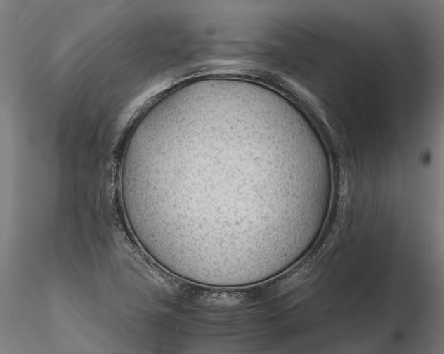 X0000115681411200912031409