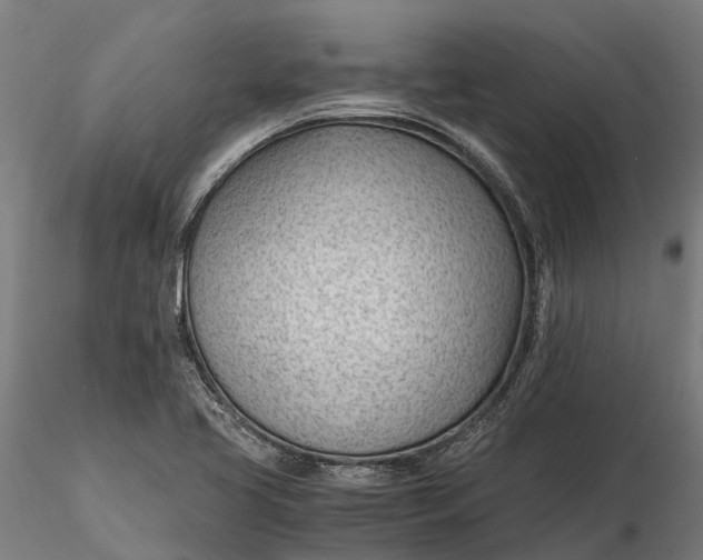 X0000115681413200912031409