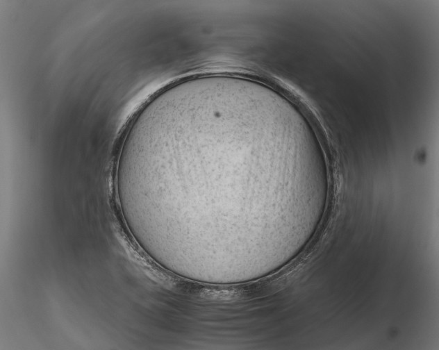 X0000115681415200912031409