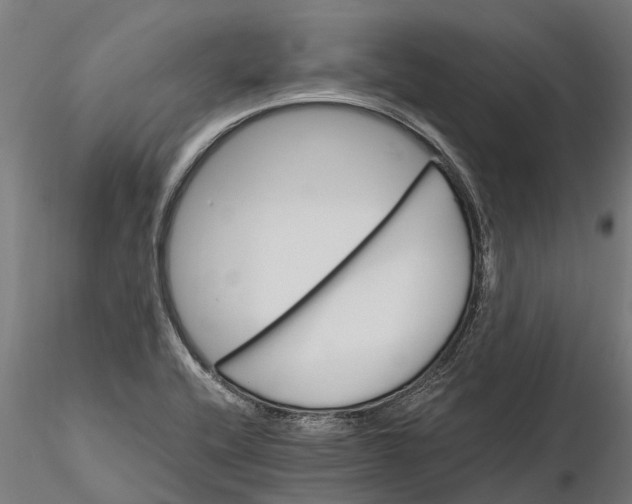 X0000115681416200912031409