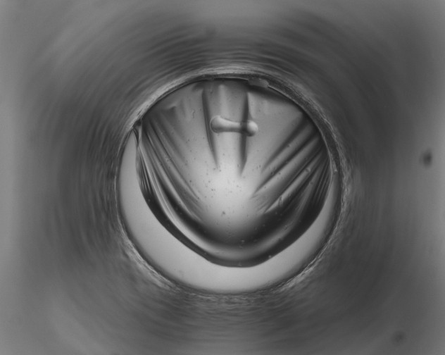 X0000115681417200912031409