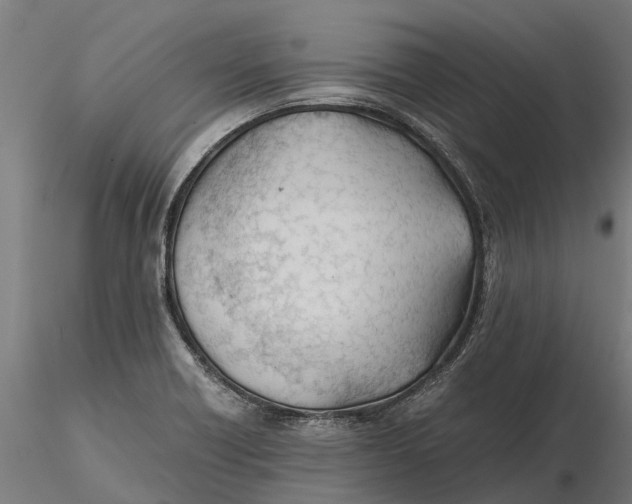 X0000115681418200912031409