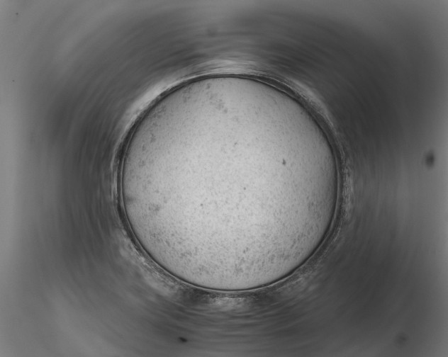 X0000115681419200912031409