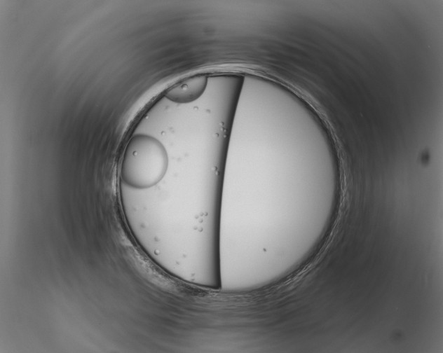 X0000115681420200912031409